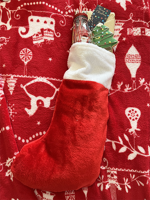 Childrens Bookish Christmas Stocking