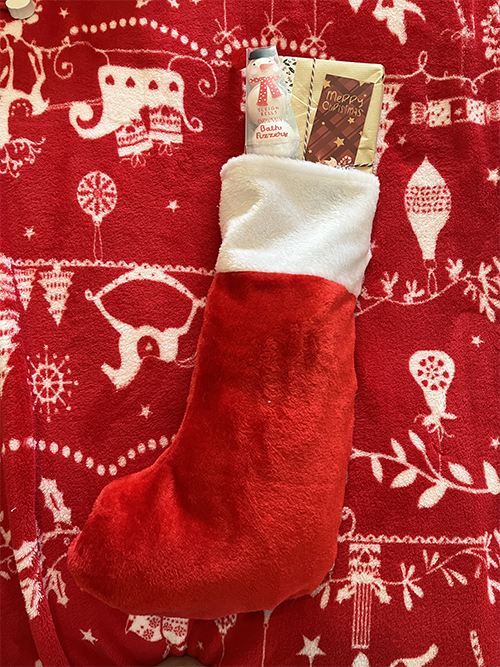 Bookish Christmas Stocking