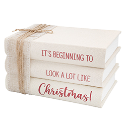 Festive Blind Date with a Book  Christmas-themed book gift with hot drink, chocolate, socks, bookmark, and pen. Perfect holiday surprise for book lovers.